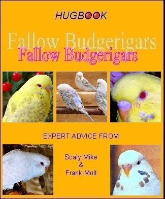 NOT ALL ABOUT FALLOW BUDGERIGARS  Hugbook